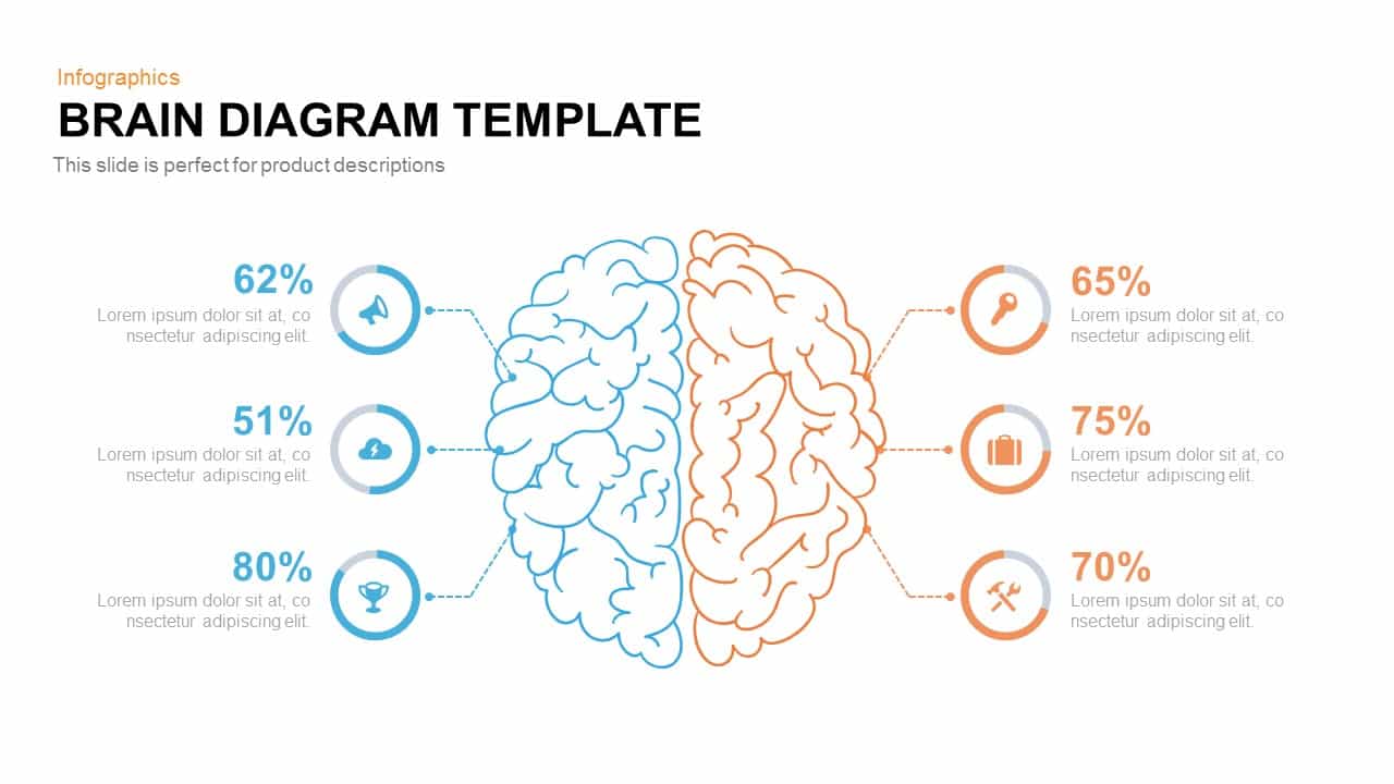 Brain Diagram Template