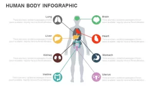 Human Body Infographic PowerPoint Template & Keynote