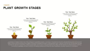 Growing Plant Stages PowerPoint Template and Keynote Slide