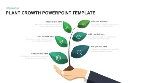 Plant Growth Template for PowerPoint and Keynote