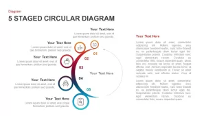 5 steps circular diagram PowerPoint template