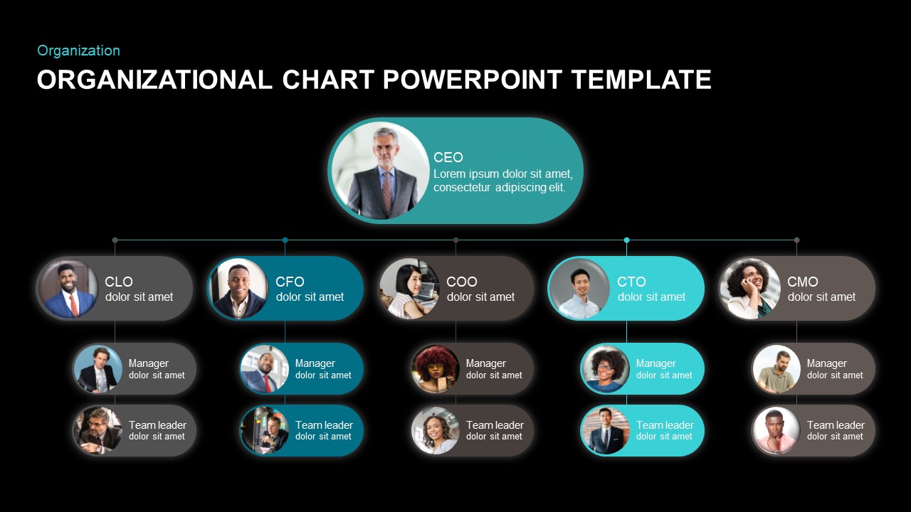 organizational chart ppt template