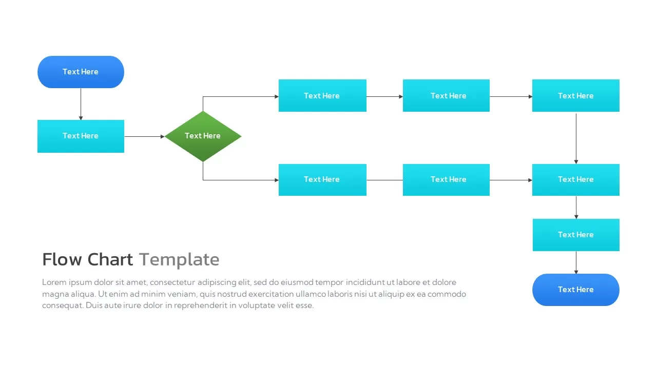 Flow Chart Infographics