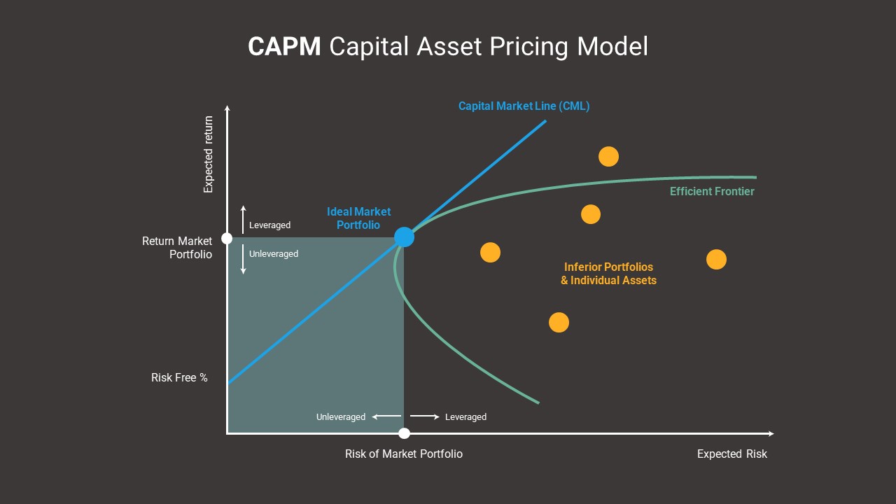 capm graph