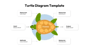 turtle diagram template