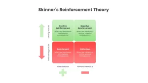 Skinner's Reinforcement Theory ppt slide
