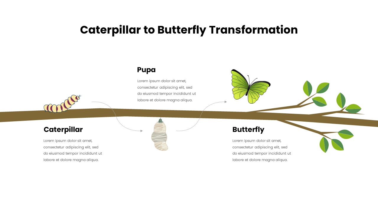 Caterpillar to Butterfly Transformation Template