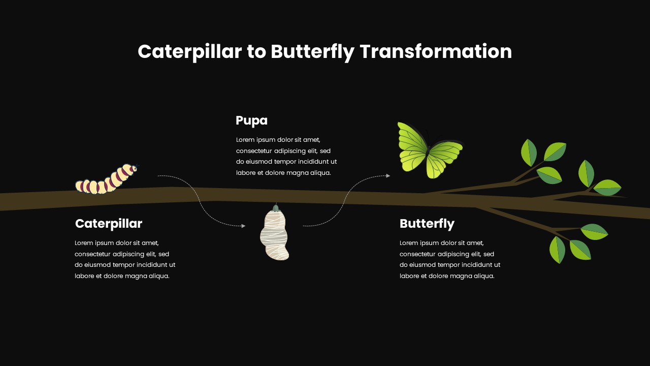 Caterpillar to Butterfly Transformation Templates