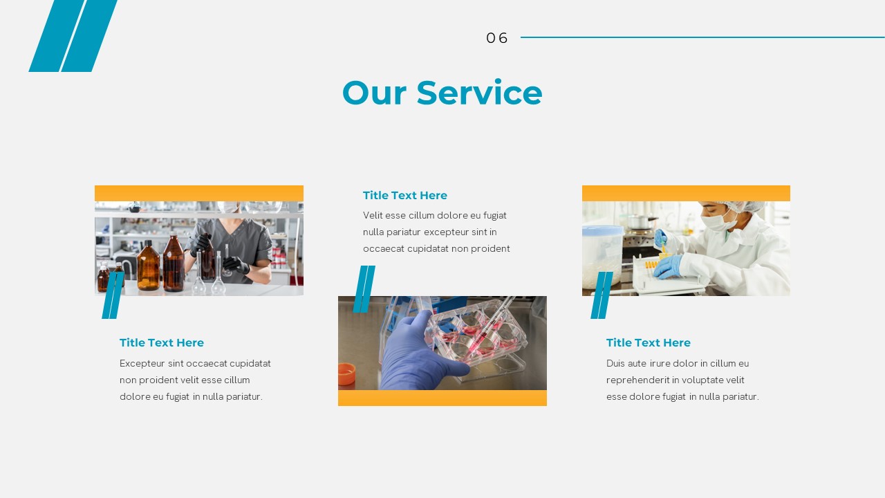Pharmaceutical Company Services Template